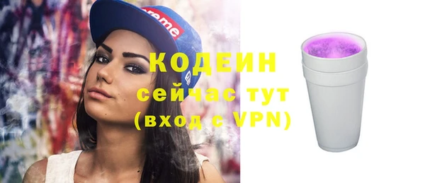молекула духа Снежинск