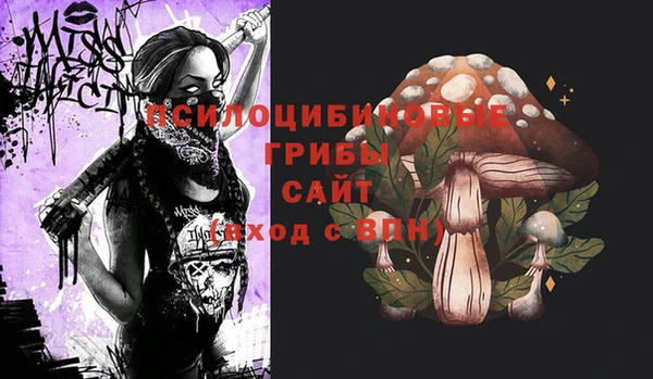 первитин Армянск