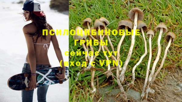 гидропоника Арсеньев