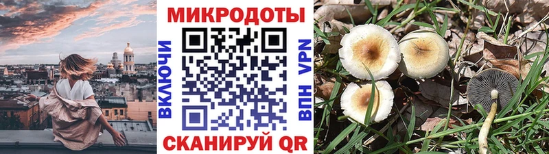 купить наркотики сайты  KRAKEN ссылка  Галлюциногенные грибы Cubensis  Бежецк 